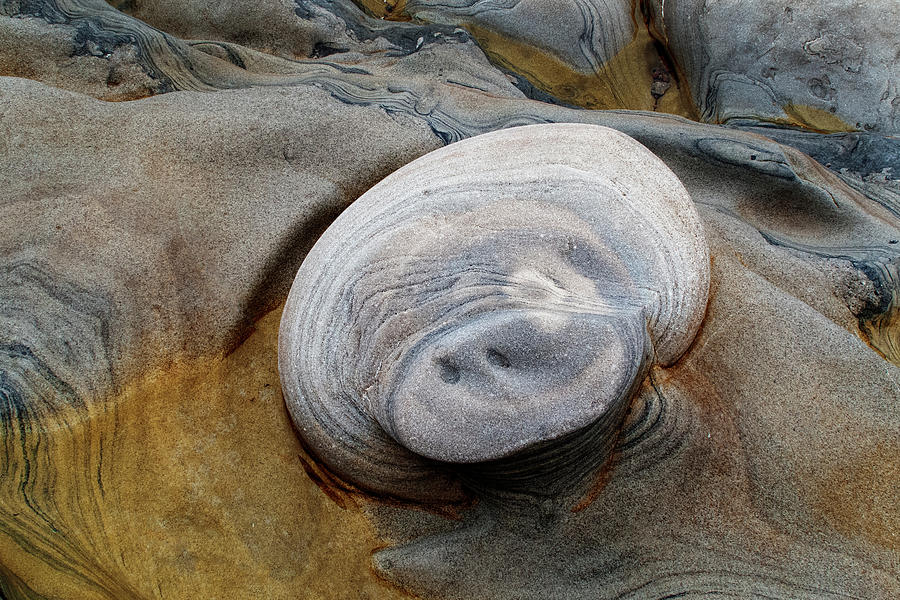 Pig Nose Rock Photograph by Joe  Palermo
