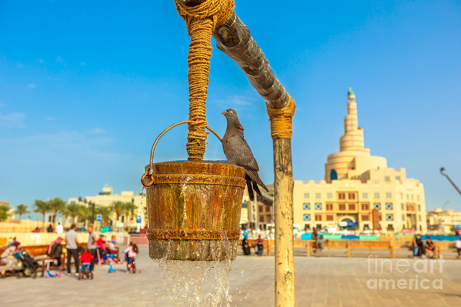 Pigeon at Old well Doha Photograph by Benny Marty