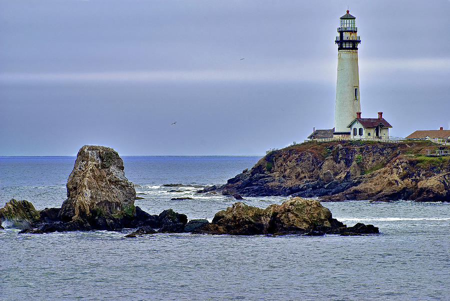 Pigeon Point Lighthouse 3 Photograph by Donald Pash