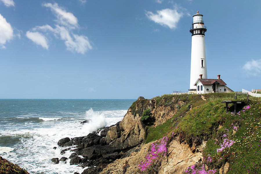 Pigeon Point Lighthouse Photograph by Gary Geddes