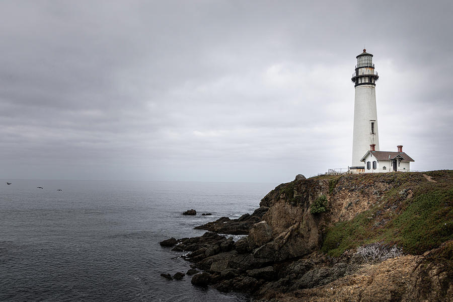Pigeon Point Lighthouse in the Mist by TL Wilson Photography Photograph by Teresa Wilson