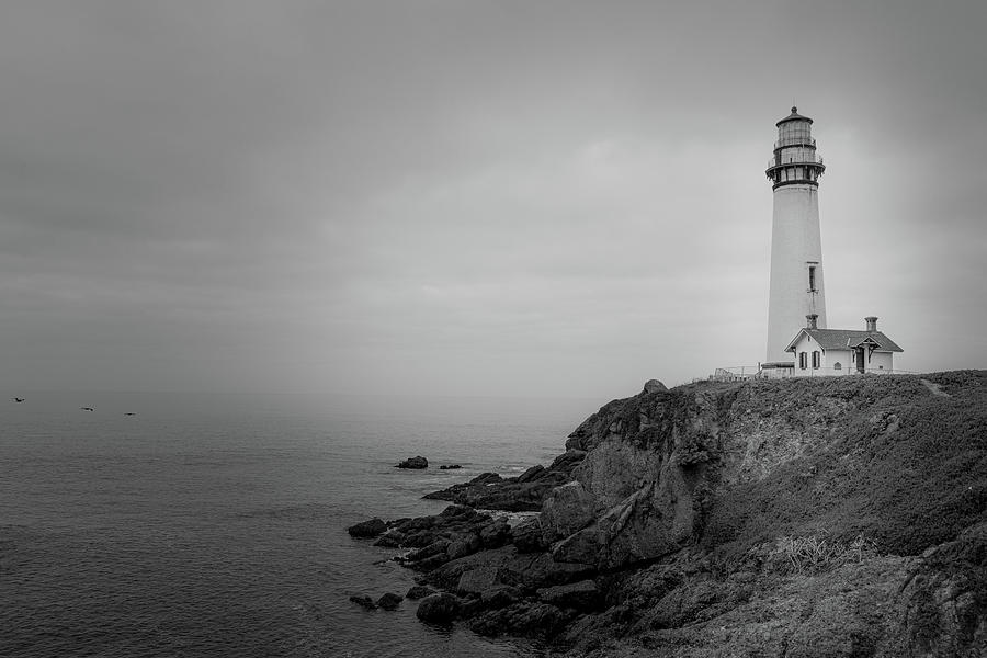 Pigeon Point Lighthouse in the Mist - Monochrome by TL Wilson Photography Photograph by Teresa Wilson