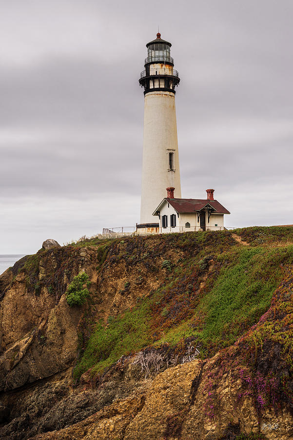 Pigeon Point Lighthouse IV Color Photograph by David Gordon