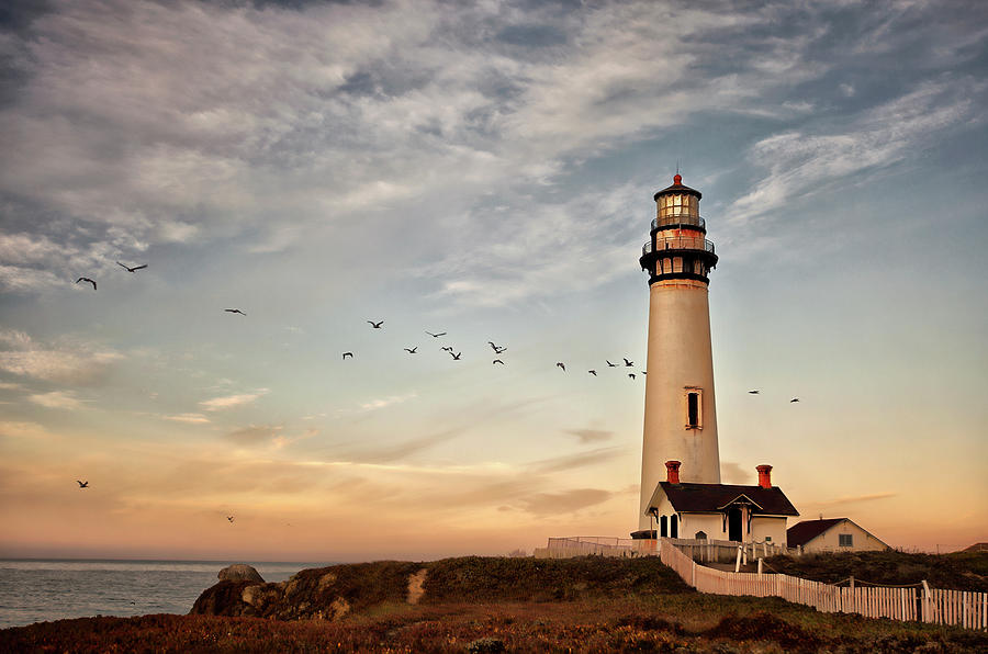 Details about   Sunset at Pigeon Point Lighthouse in California Original Fine Art Photo Print 