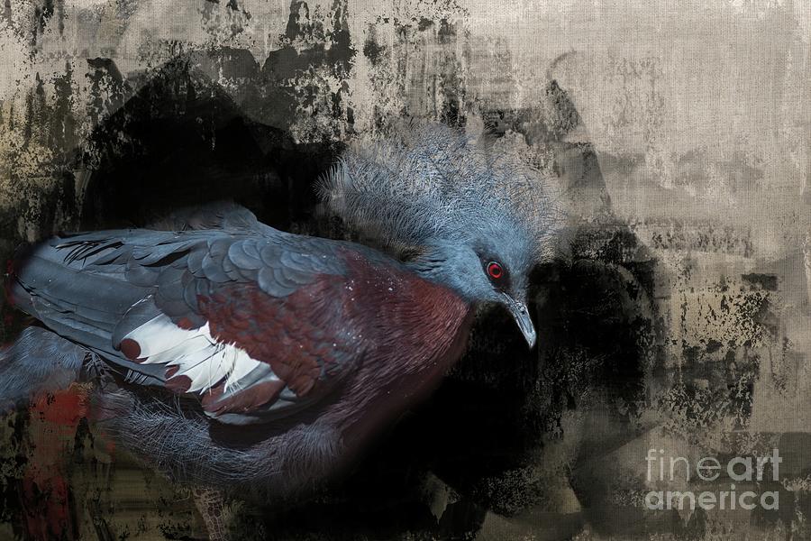 Victoria Crowned Pigeon Photograph - Pigeon Queen by Eva Lechner