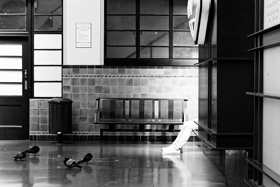 Pigeon Toes -- Wellington Railway Station in Wellington, New Zealand Photograph by Darin Volpe