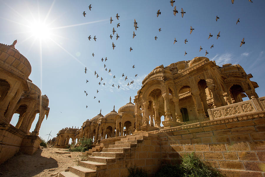 Pigeon Digital Art - Pigeons Flying Above Bada Bagh, Jaisalmer, Rajasthan, India by Michael Truelove