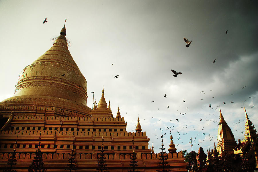Pigeons Flying In A Bagan Temple At Photograph by Volanthevist
