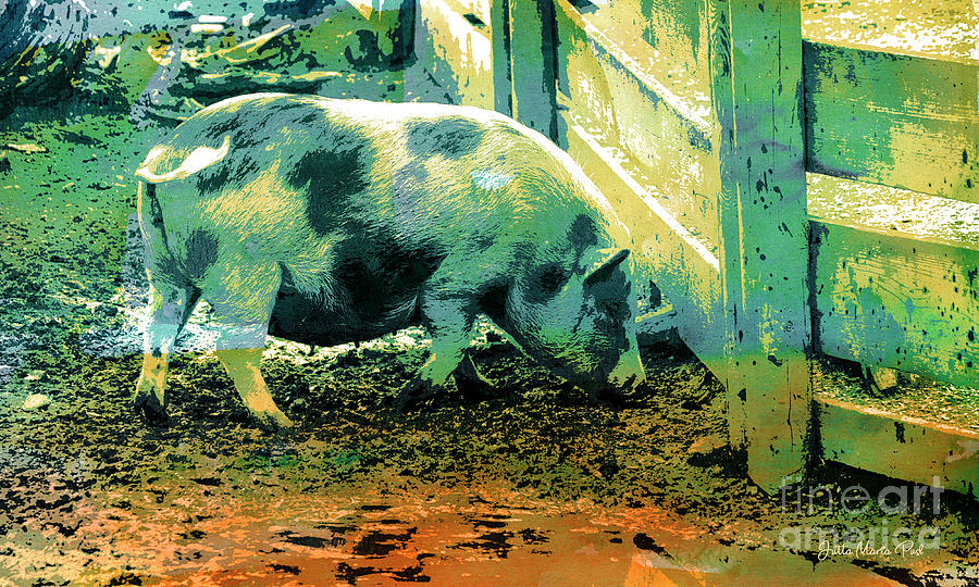 Piggy Digital Art by Jutta Maria Pusl