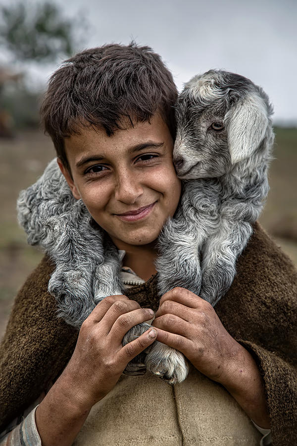 Piggyback Photograph by Amin Mahdavi