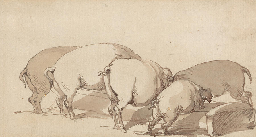 Pigs at a Trough Drawing by Thomas Rowlandson