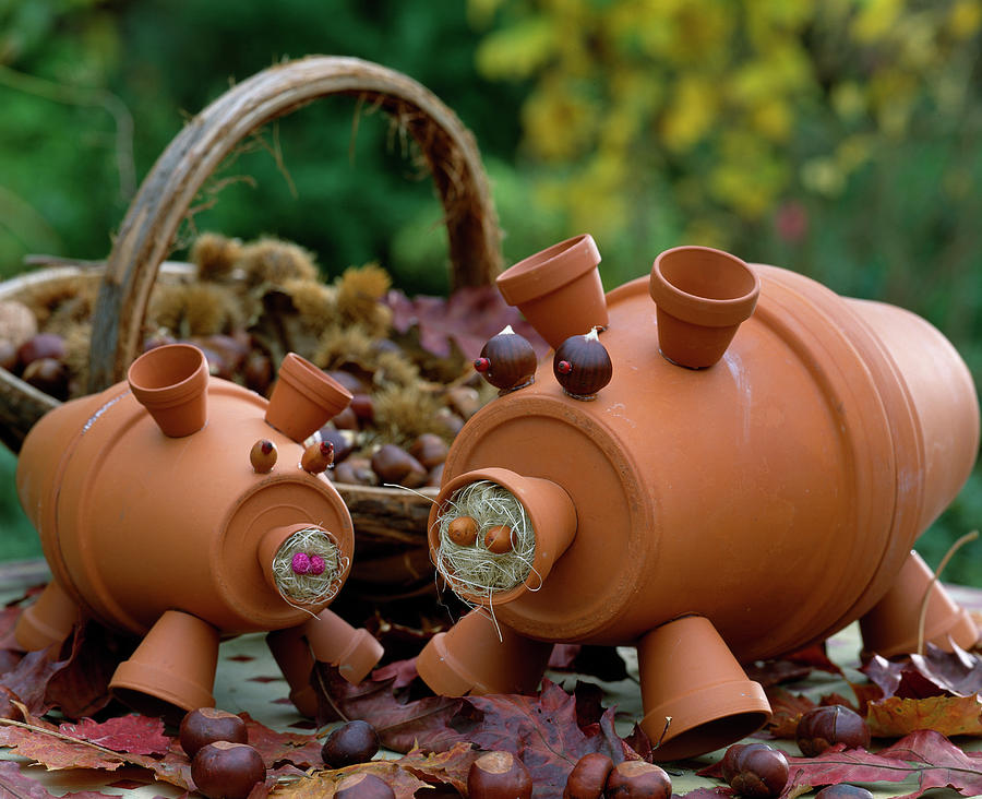 Pigs Made Of Clay Pots, Chestnuts, Acorns And Sisal Photograph by Friedrich Strauss