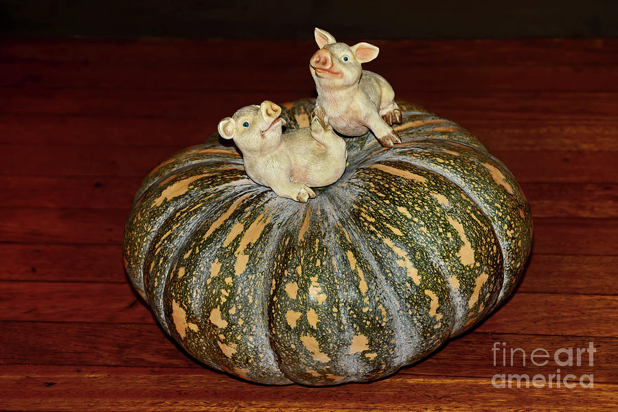 Pumpkin Photograph - Pigs on Pumpkin by Kaye Menner by Kaye Menner