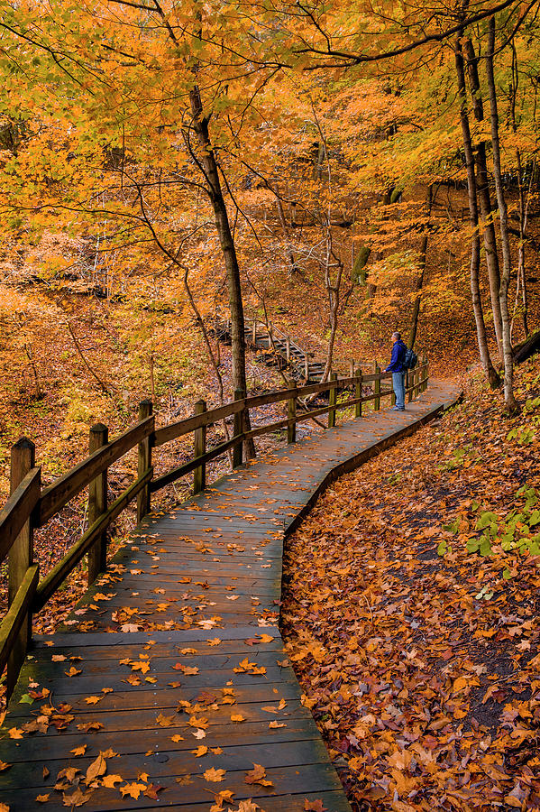 Conquer The Mountain: Your Guide To Pikes Peak State Park