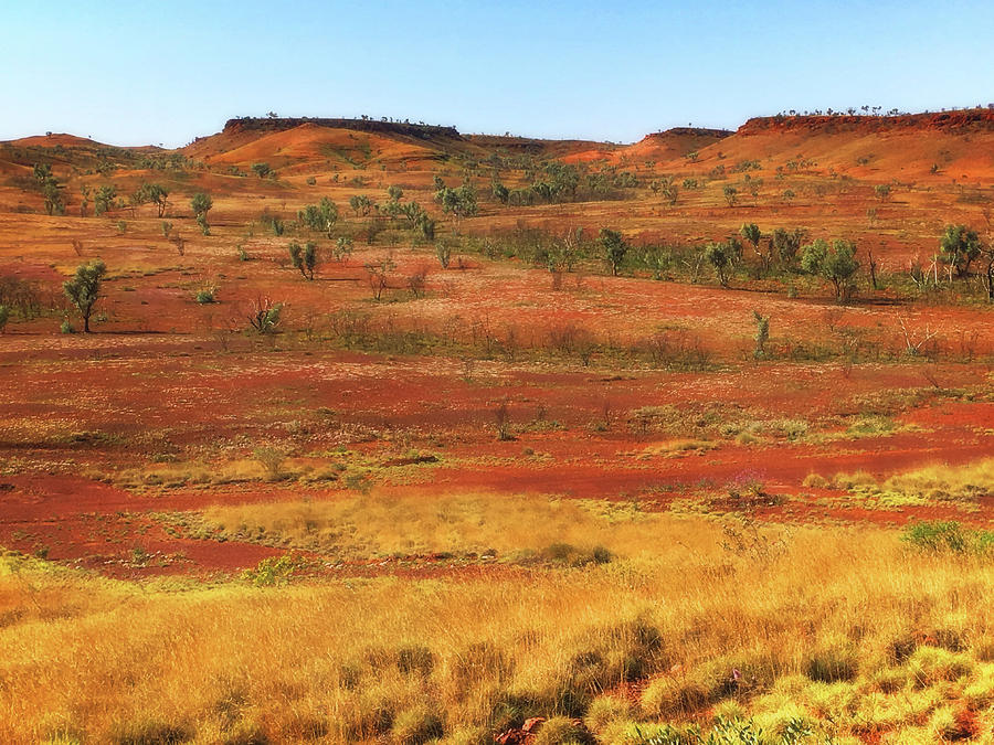 Summer Photograph - Pilbara Desert Landscape in Western Australia by Roy Jacob