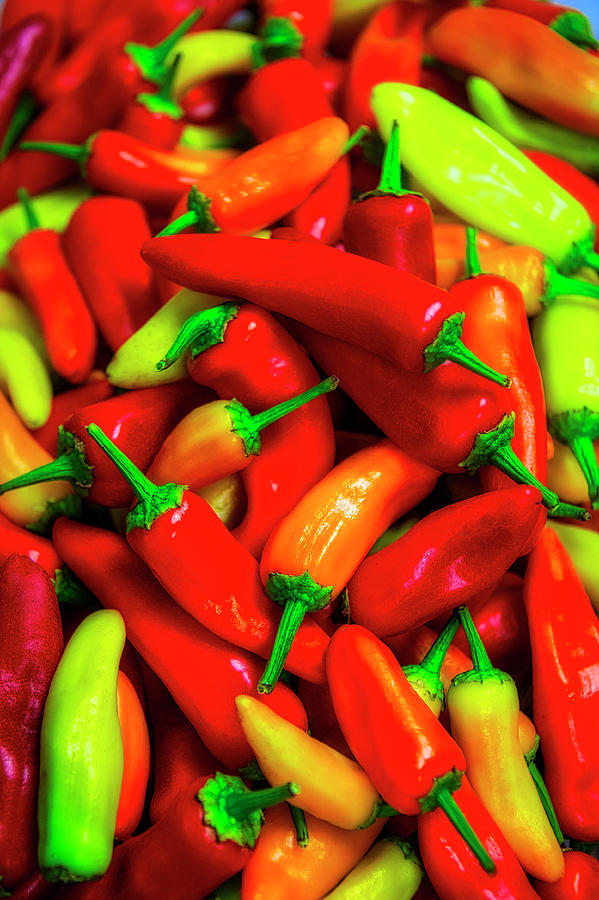 Pile Of Chilli Peppers Photograph by Garry Gay