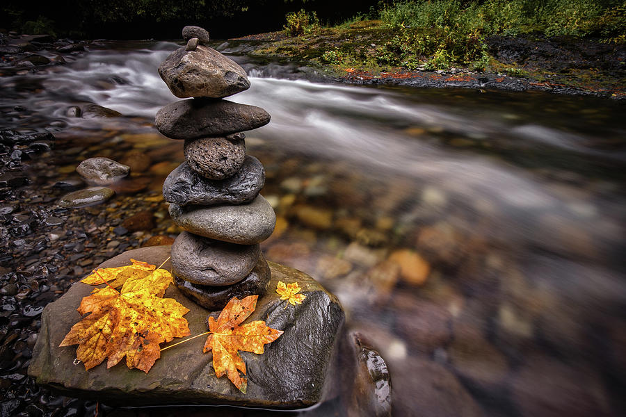 Pile Of Rocks And Autumn Leaves Next To Photograph by Michael Riffle