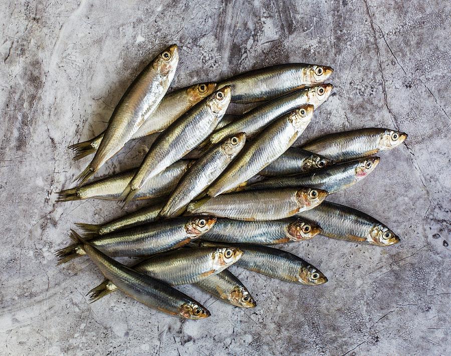 Pile Of Sprats On A Tile Photograph by Cath Lowe