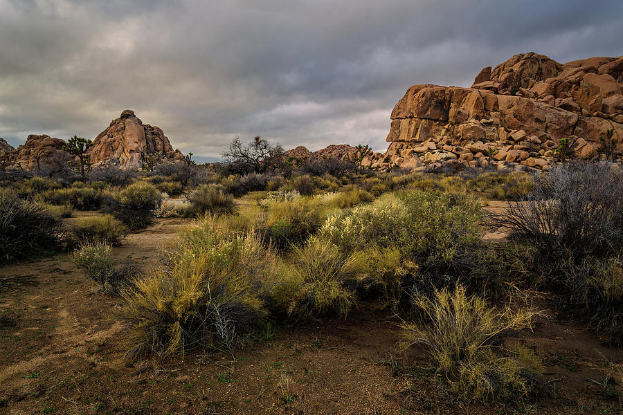 Piles of Rocks by Rick Strobaugh Piles of Rocks by Rick Strobaugh