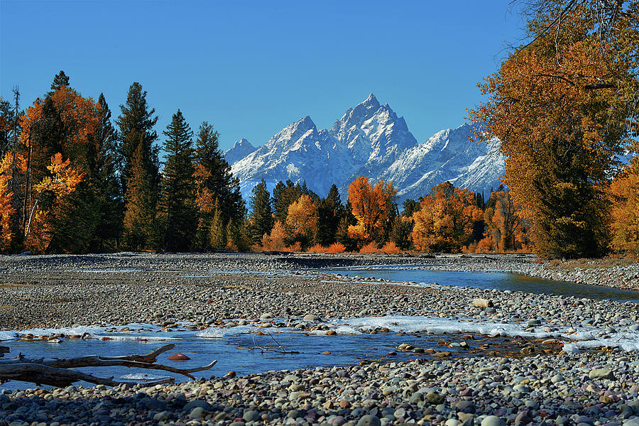Pilgrim Creek Autumn Photograph by Greg Norrell