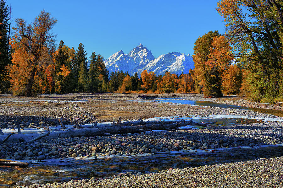 Pilgrim Creek Autumn Splendor Photograph by Greg Norrell