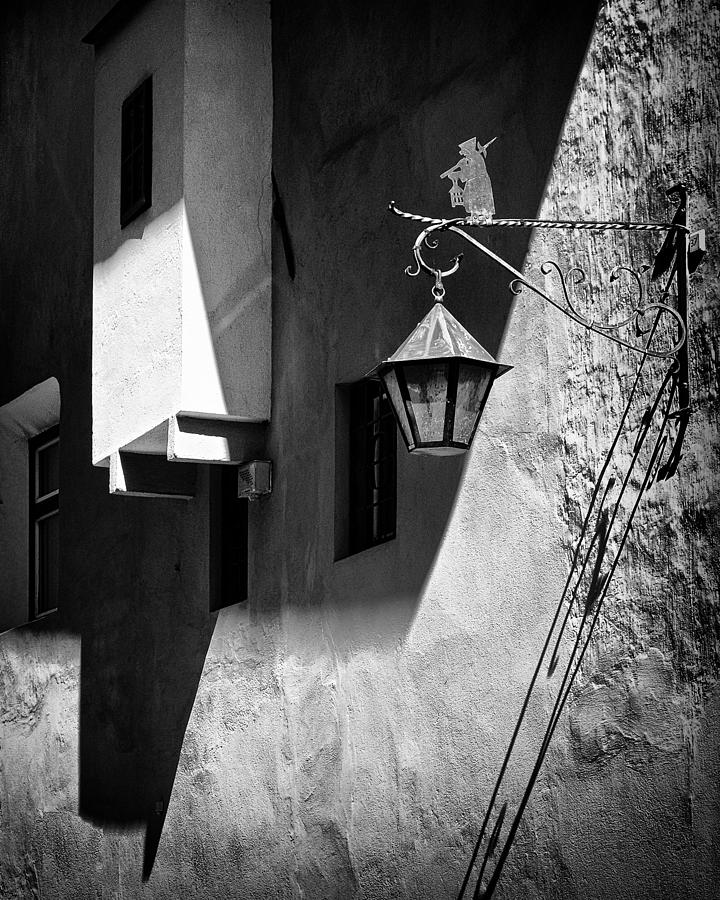 Pilgrim Photograph by Raffaele Corte