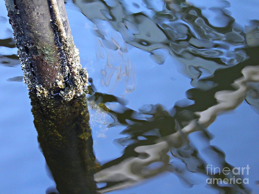 Pilings And Reflections 1 Photograph