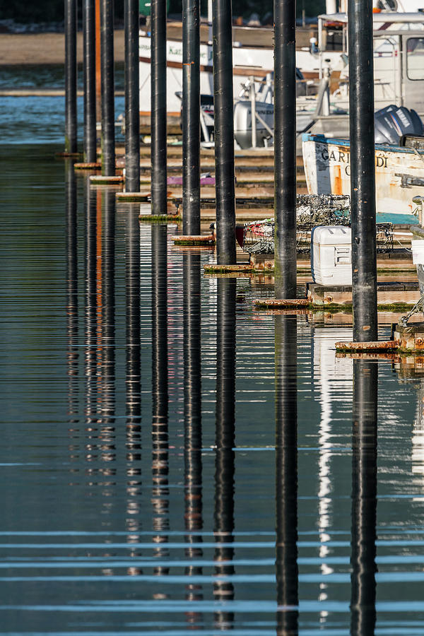Pilings and Ripples by Robert Potts Pilings and Ripples by Robert Potts