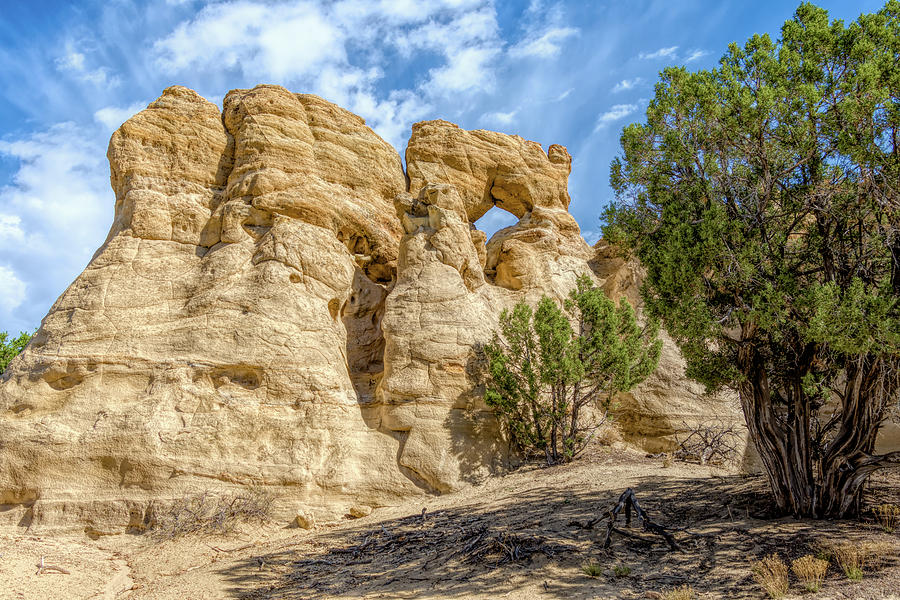 Pillar Arch in Potter Canyon New Mexico Photograph by Debra Martz