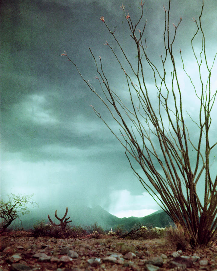 Pillar Of Rain Photograph by Loomis Dean