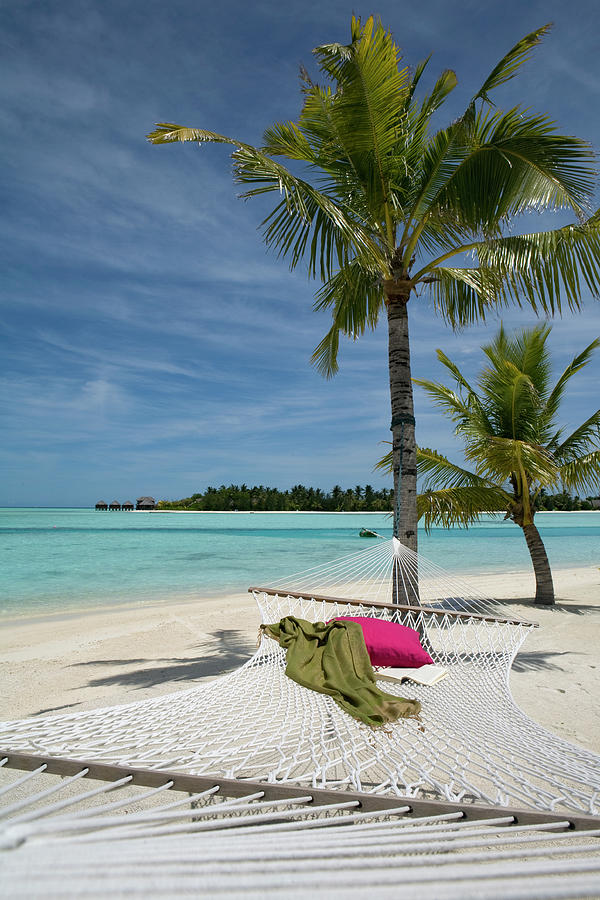 Pillow On Hammock Tied To A Palm Tree In Veligandu Island Resort, Maldives Photograph by Jalag / Sophie Henkelmann