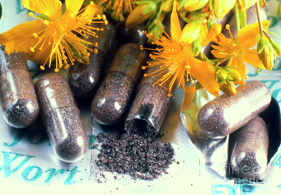 Flowers Still Life Photograph - Pills And Flowers Of St Johns Wort by Dr Jeremy Burgess/science Photo Library