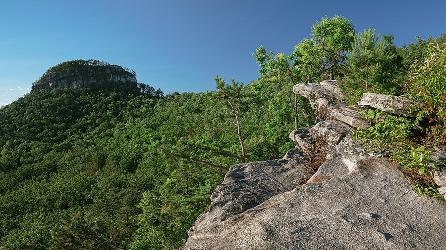 Pilot Knob by Patrick M Lynch Pilot Knob by Patrick M Lynch