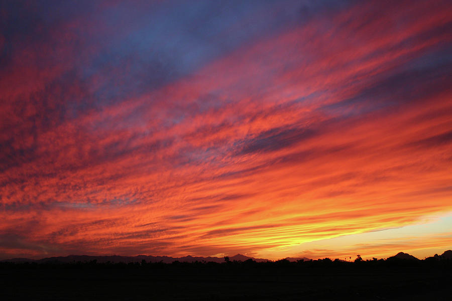 Pima Sunset by Lokibaho