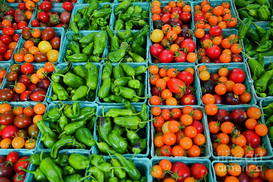 Pimento de Padron peppers and cherry tomatoes Photograph by Bruce Block