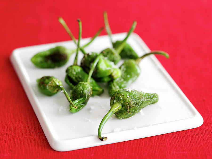 Pimientos De Padron roasted Green Peppers, Spain Photograph by Gareth Morgans