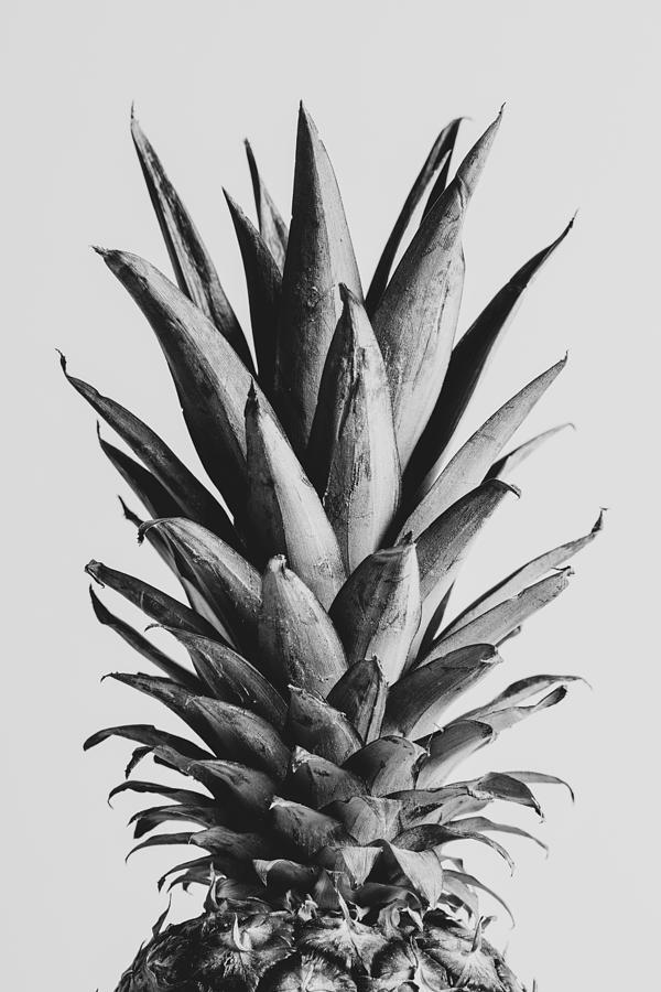 Fruit Photograph - Pinapple Black & White 05 by 1x Studio Iii