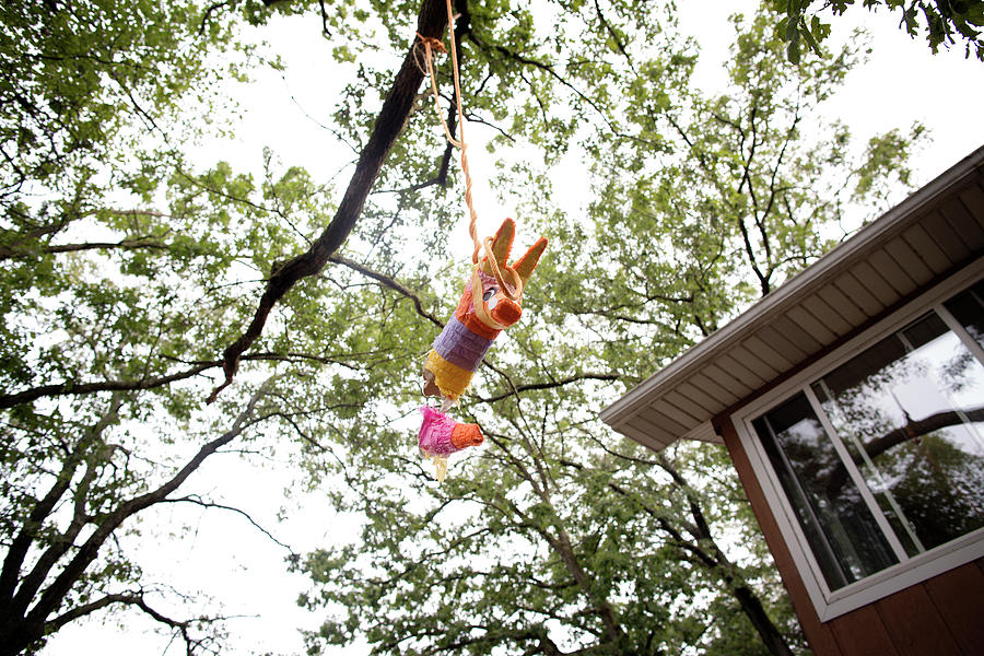 Pinata Hanging From Tree Photograph By Cavan Images Fine Art America   Pinata Hanging From Tree Cavan Images 