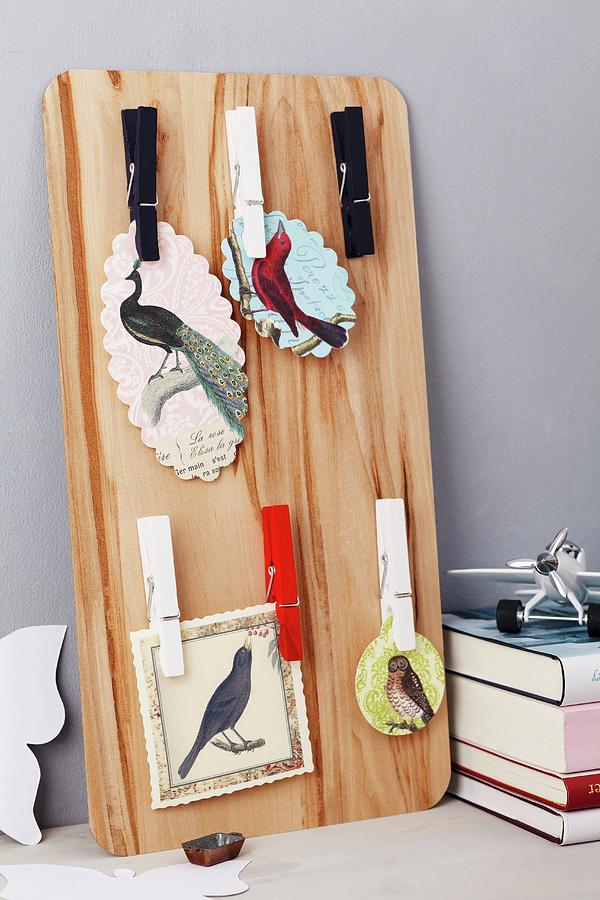 Pinboard With Clothes Pegs & Pictures Of Birds Photograph by Franziska Taube