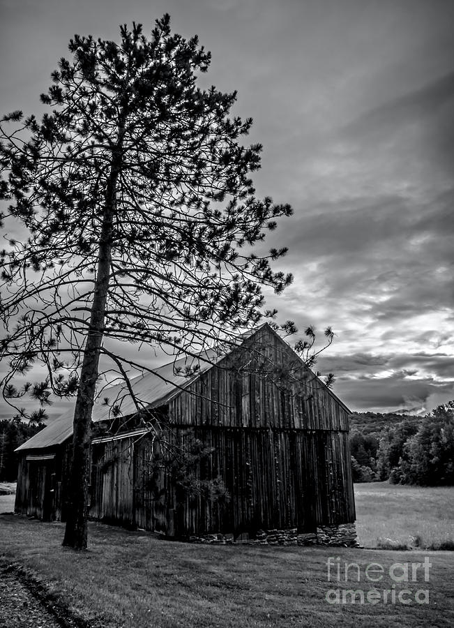 Pine Barn Photograph by James Aiken
