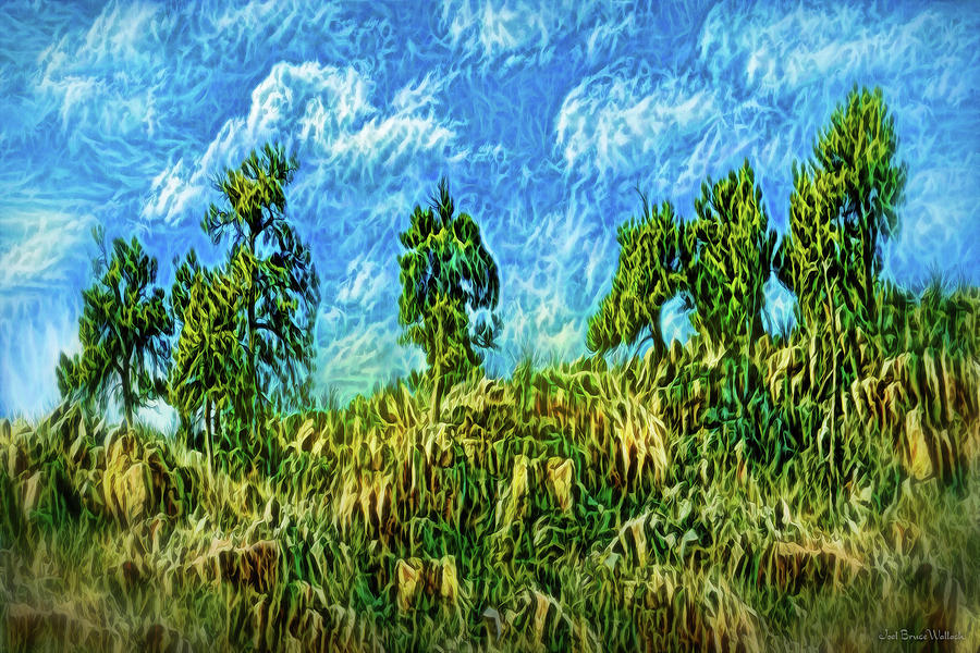 Pine Cliff Winds Digital Art by Joel Bruce Wallach