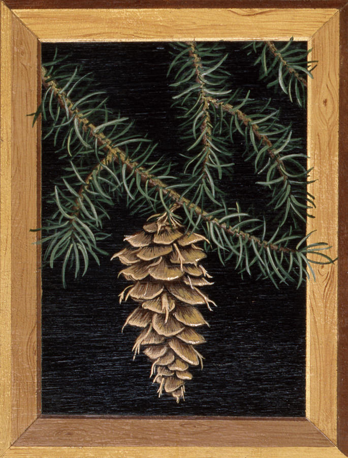 Pine Cone A Painting by Susan Clickner