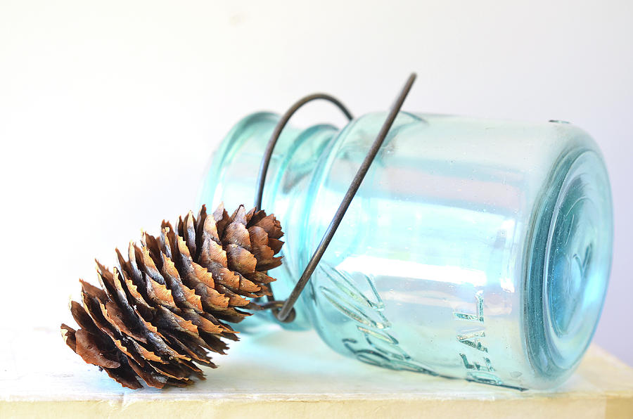 Pine Cone and a Jar Photograph by Michelle Wermuth