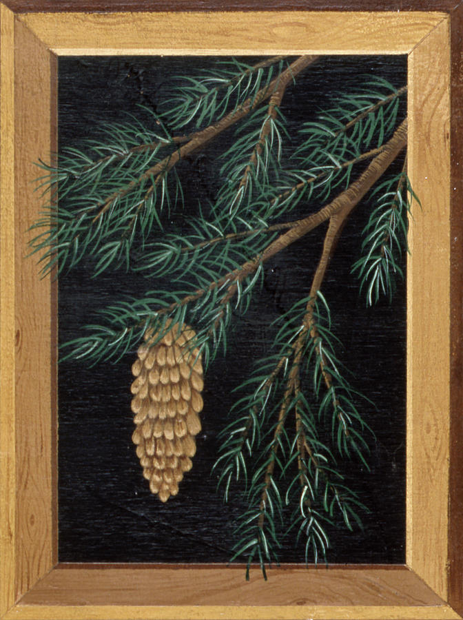 Pine Cone C Painting by Susan Clickner