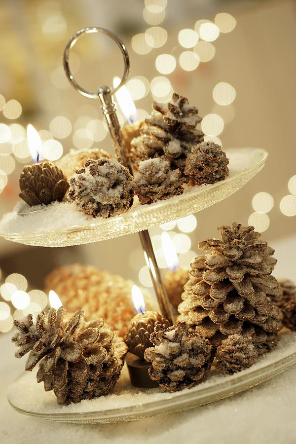 Pine Cones And Candles On Cake Stand Photograph by Angelica Linnhoff