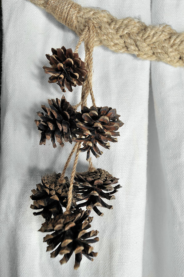 Pine Cones Hung From Rope Curtain Tie-back Photograph by Henri Del Olmo