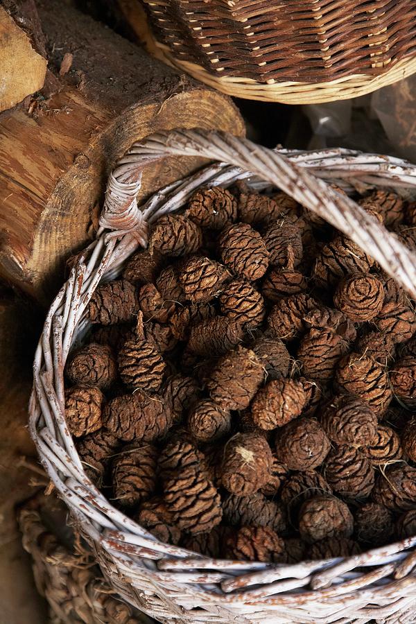 Pine Cones In A Wicker Basket Photograph by Charlotte Murphy