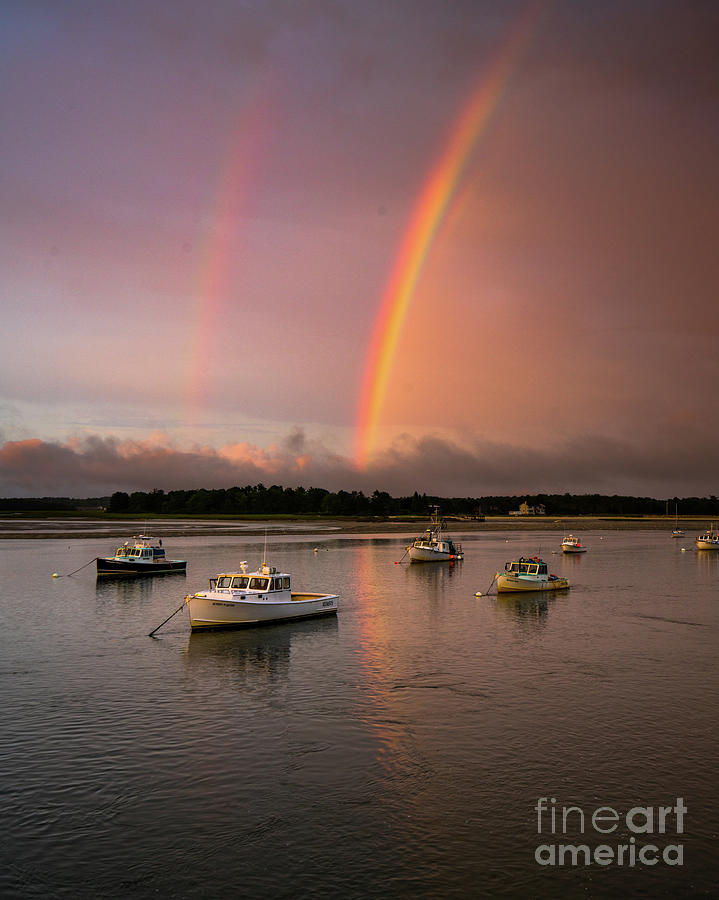 Pine Point Rainbow Photograph by Benjamin Williamson