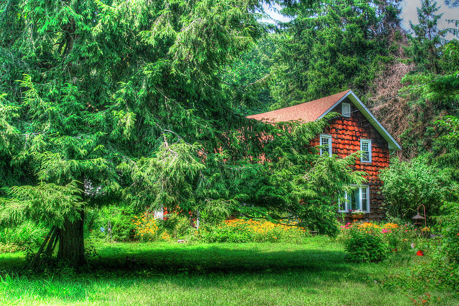 Tree Photograph - Pine Tree And Cottages by Robert Goldwitz