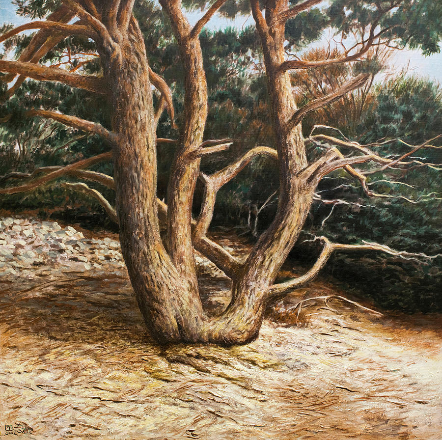 Pine Tree at the Coast Painting by Hans Egil Saele